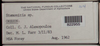 Image Associated With the Occurence